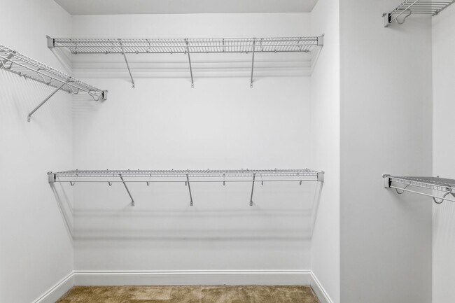 Building Photo - 5 Bedrooms in the heart of Summerfield!