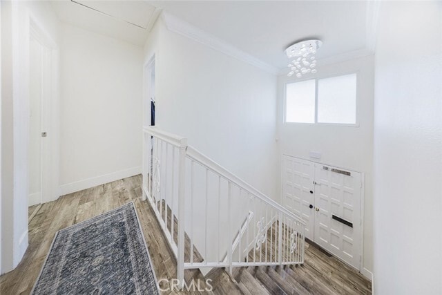 Building Photo - 6667 Wilbur Ave