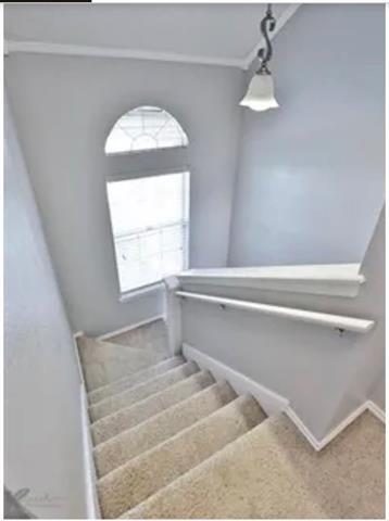 Building Photo - 1029 Lytle Creek Dr