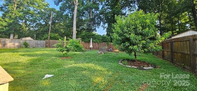 Building Photo - 513 Webster Pl