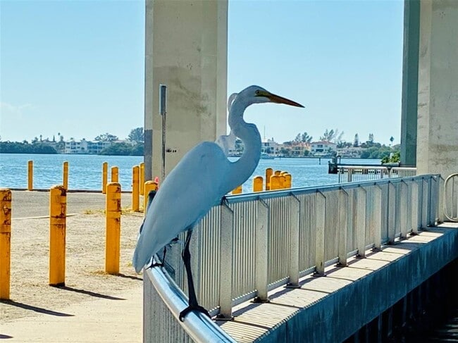 Building Photo - 113 12th St