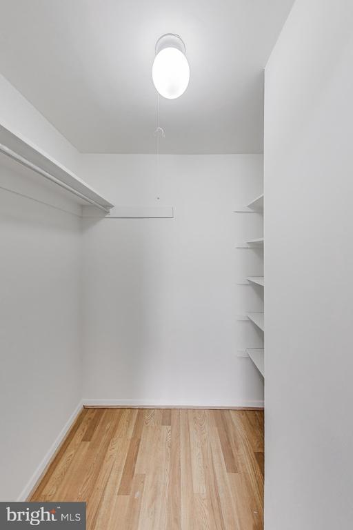 Building Photo - 12307 Braxfield Ct