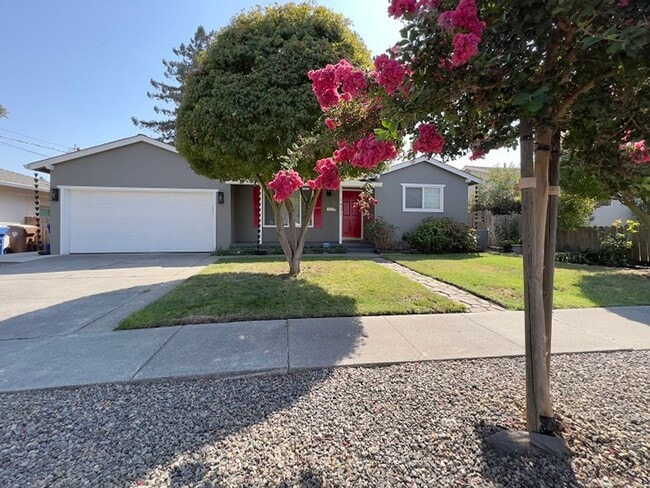 Primary Photo - Beautifully Updated Four Bedroom Napa Home