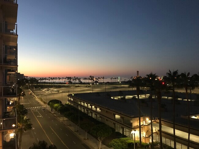 Night View - 388 E Ocean Blvd