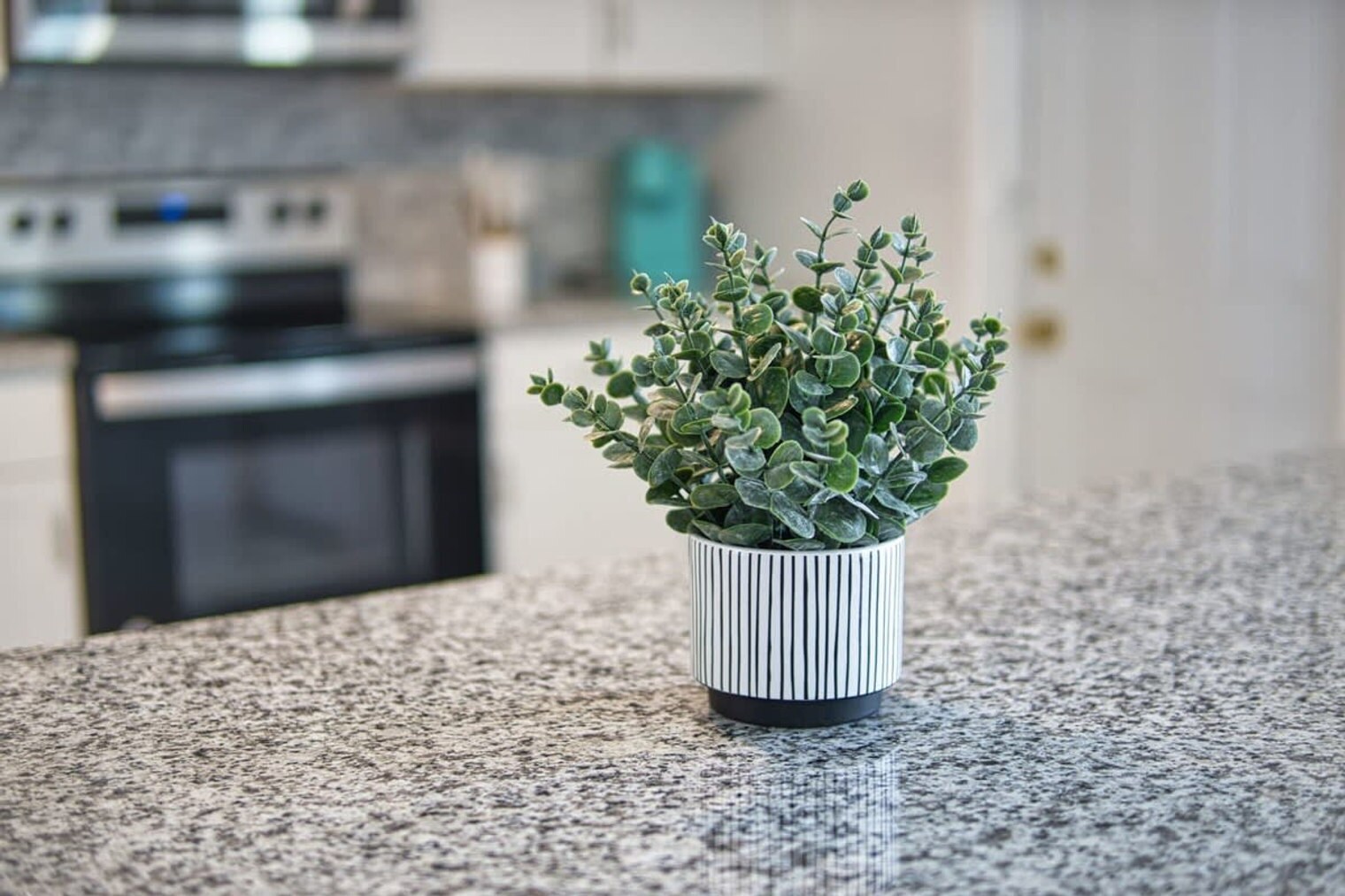 Building Photo - 505 Fillmore Ave