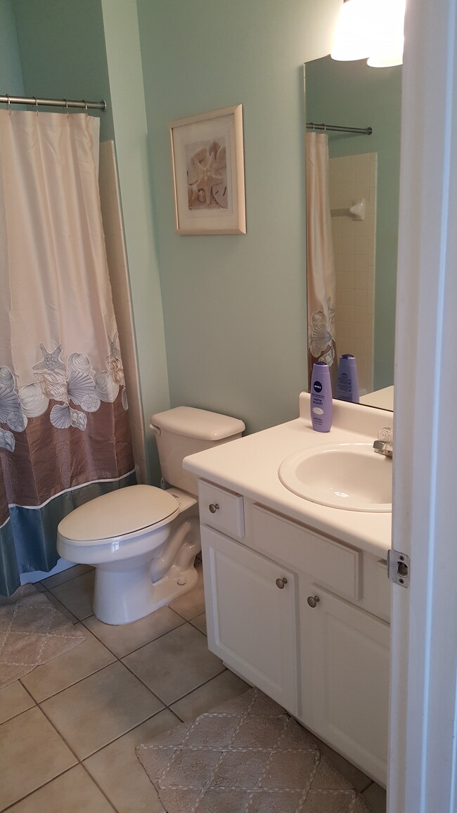 hall bath - 1600 Long Grove Dr