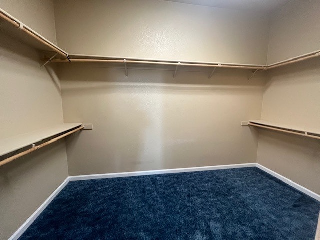 Building Photo - 427 Sea Cove Dr