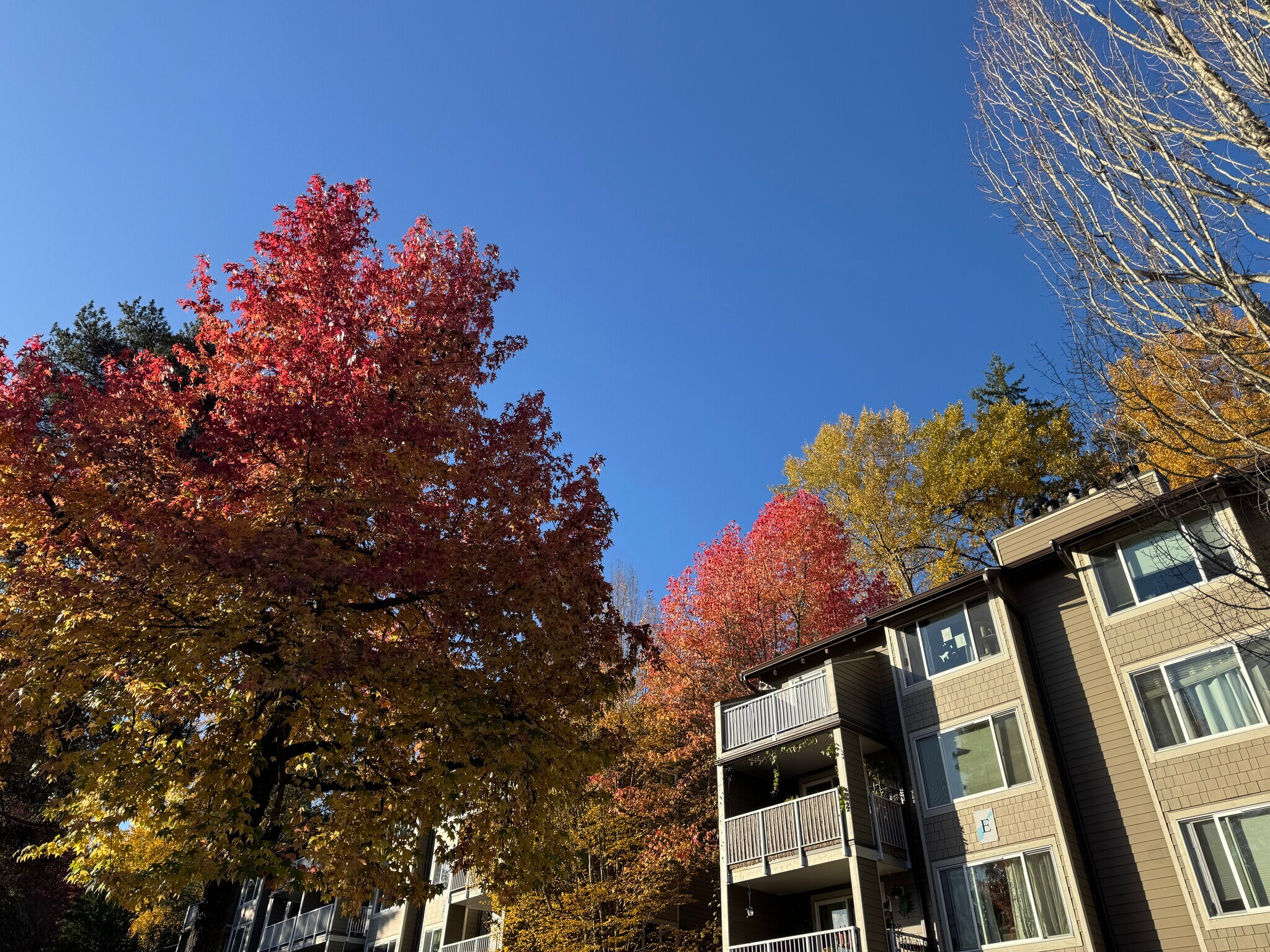 Building Photo - 204 Mountain Park Blvd SW