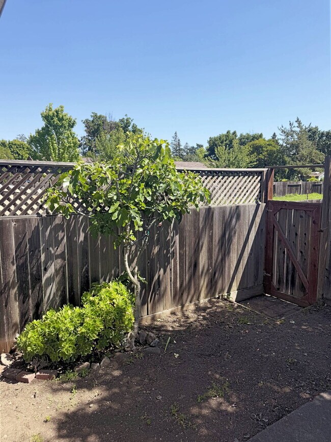 Building Photo - 2BD/2BA Single-Level Home Near Sonoma Plaza | Available Now.