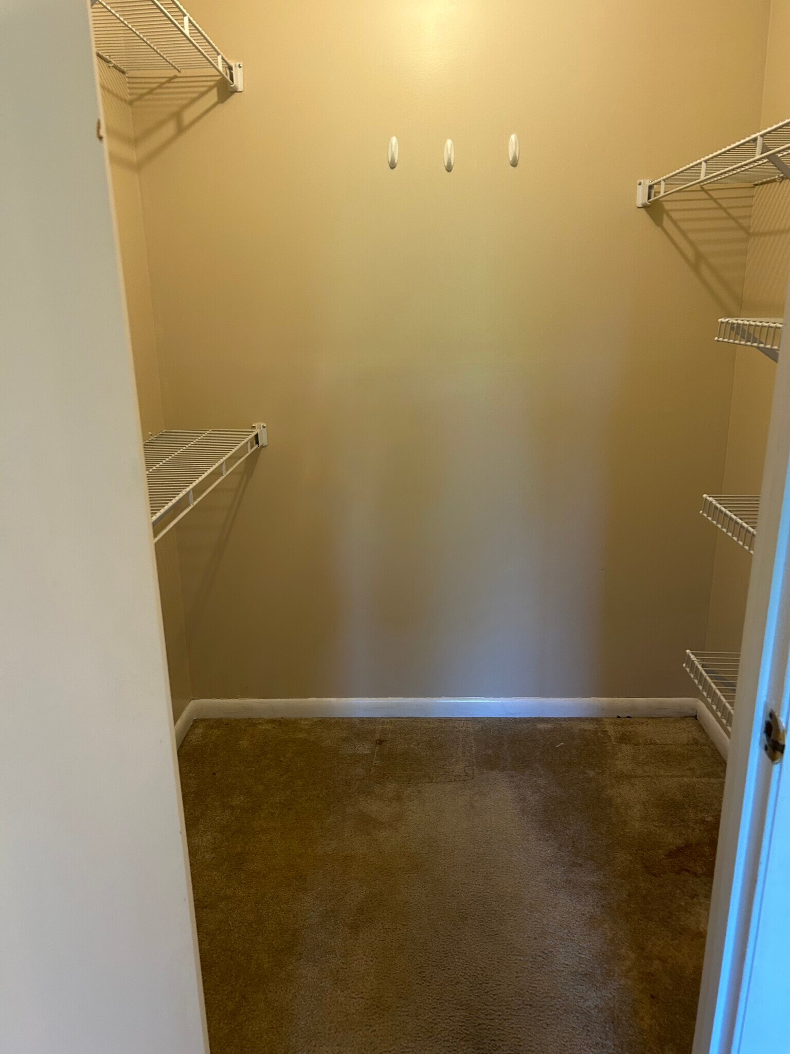 Bedroom walkin closet - 12 Mallard Glen Dr