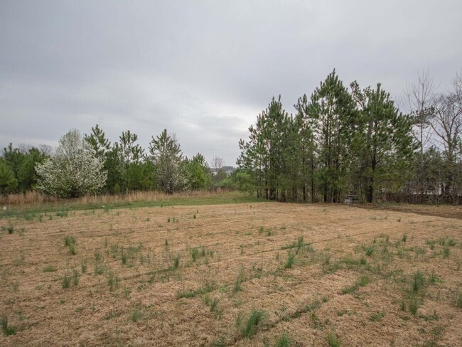 Building Photo - Athens City Schools, Lawncare Included In ...