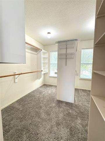 Building Photo - 11658 Snyder Dr