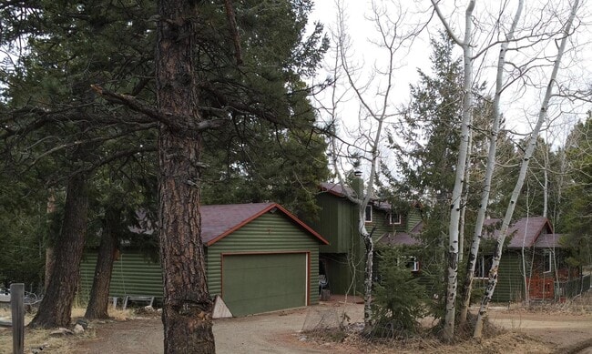 Building Photo - Beautiful, North Evergreen, Mountain Home ...