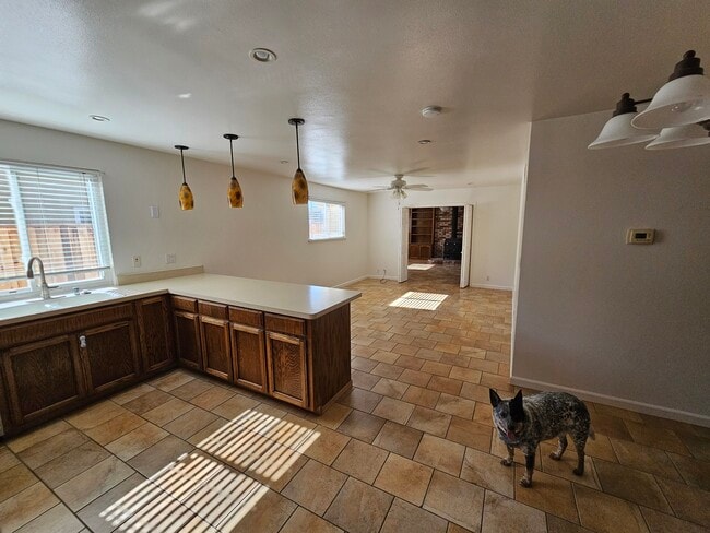 Building Photo - 119 Houlton Ct