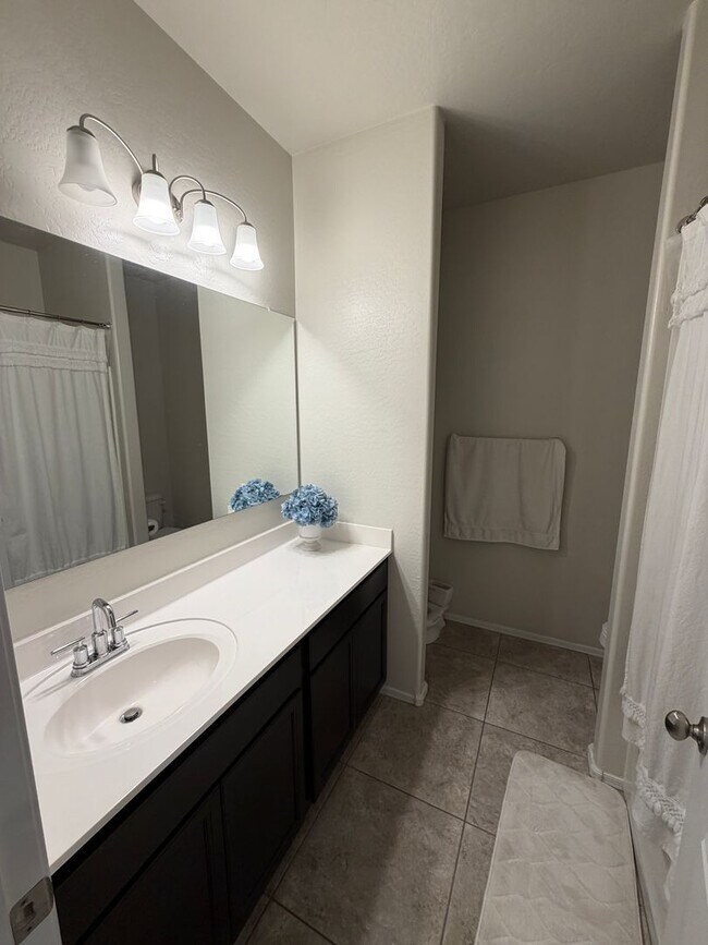 Building Photo - Upgraded and Spacious 4 Bed/2 Bath in Buckeye