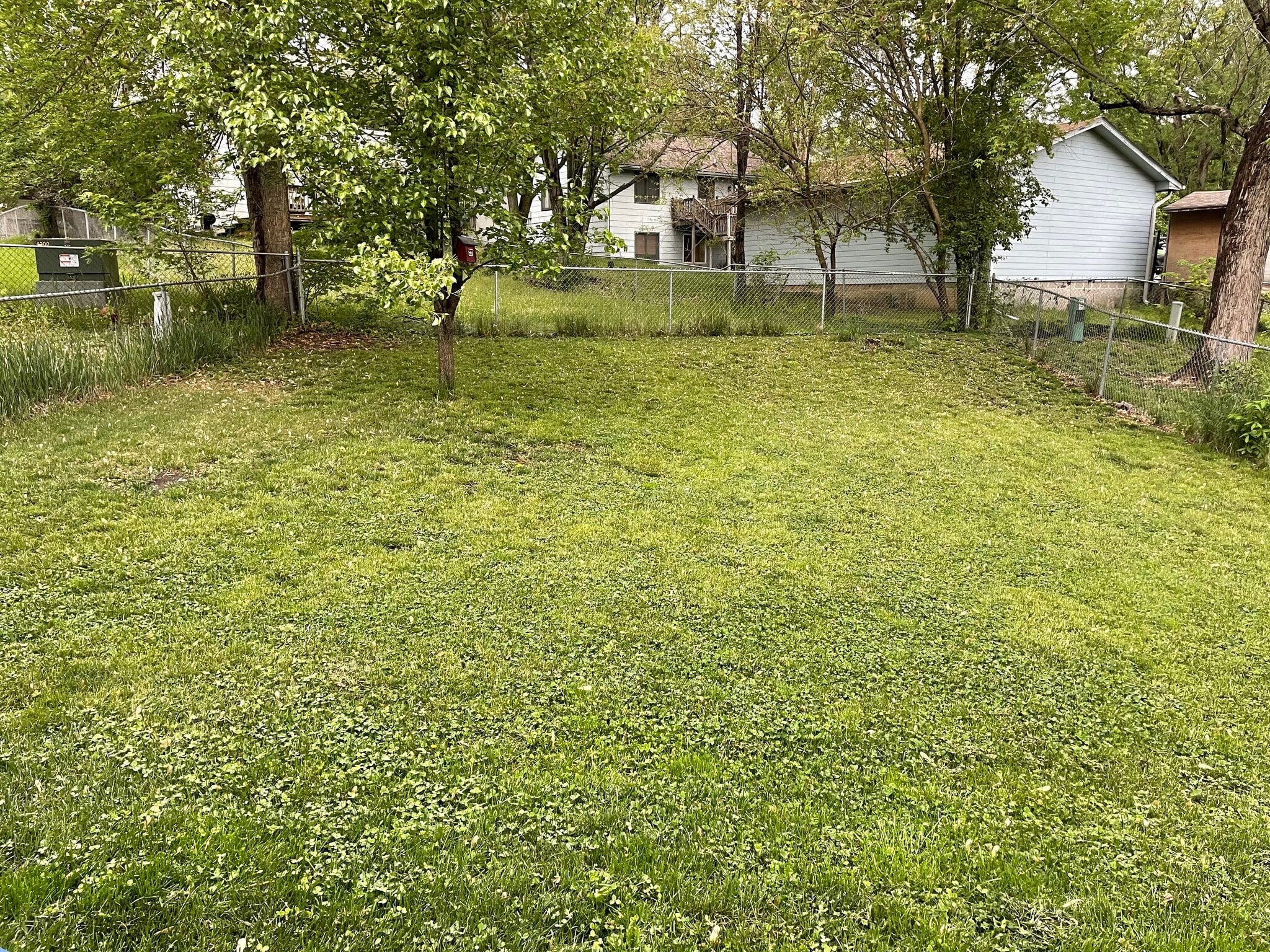 backyard - 4202 Enden Ln