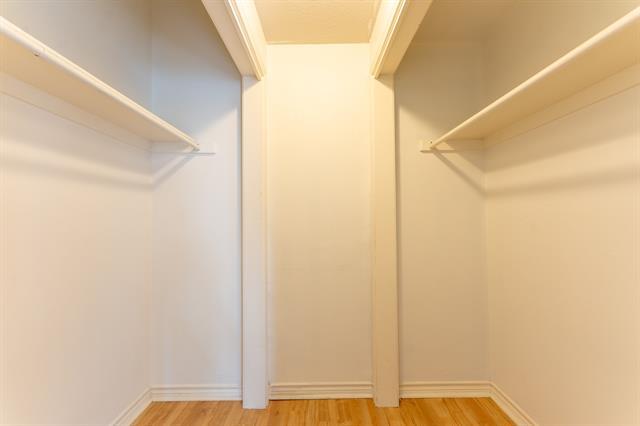 Building Photo - 3105 San Jacinto St