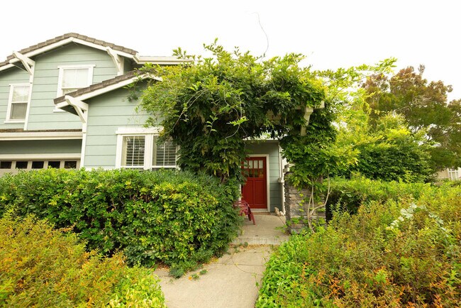 Building Photo - 115 Maybeck St