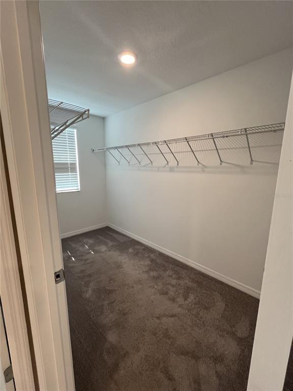 Building Photo - 241 Argyll Dr