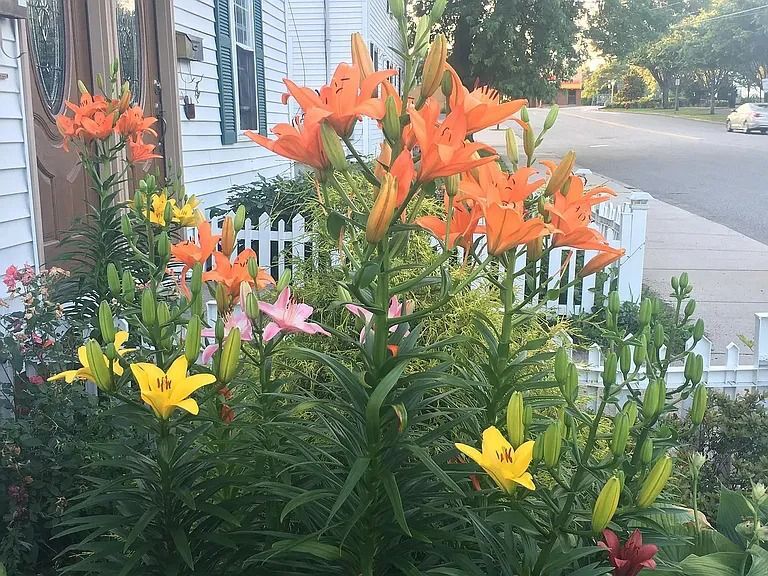 Building Photo - 848 Main St