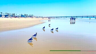 Building Photo - 13100 Boca Ciega Ave