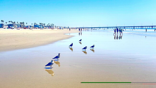 Building Photo - 13100 Boca Ciega Ave