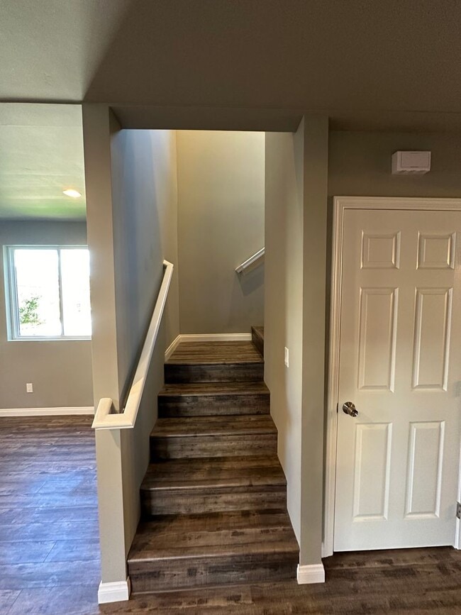 Building Photo - Charming 3 Bedroom 2 bathroom back house in the heart of San Diego's most desirable neighborhoods!