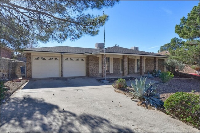 Building Photo - Available now!