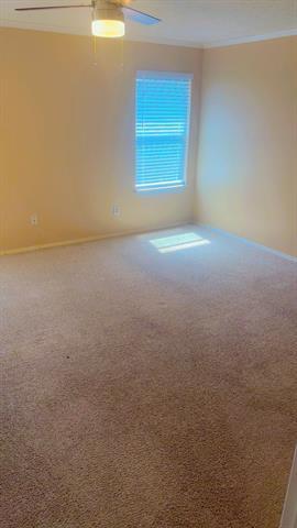 Building Photo - 3920 Fox Run Dr