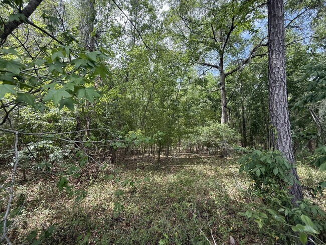 Building Photo - 3 Bedroom 2 Bath Home In Turkey Creek