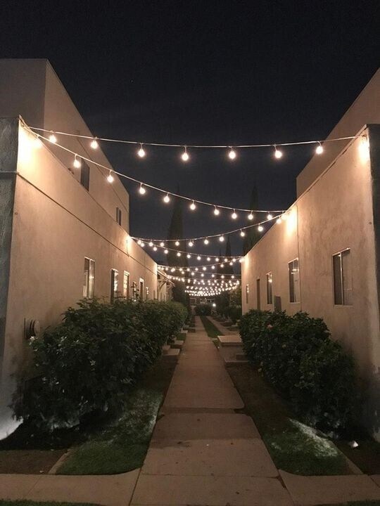 Building Photo - 575 - 577 Walnut Avenue,