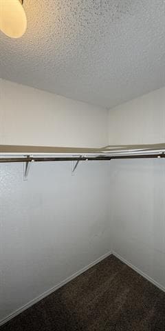 Building Photo - 7808 Shoal Bend