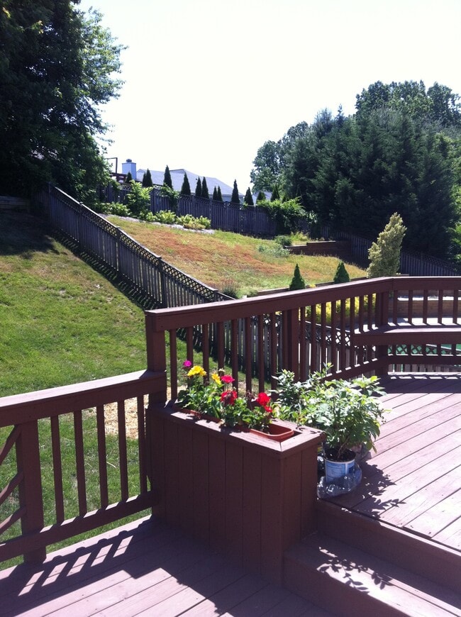 Building Photo - 3203 Trellis Ln