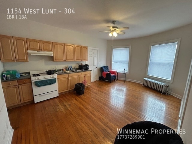 Building Photo - 1154 West Lunt-304