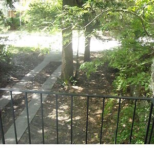 Building Photo - 1113 Skidaway Rd