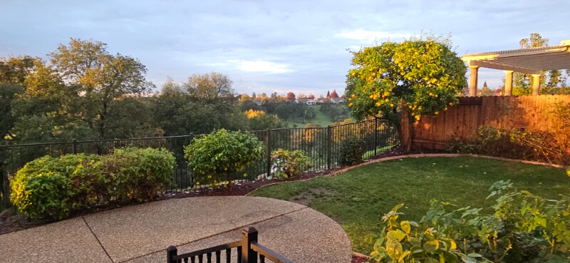 Building Photo - 3004 Fox Hill Dr