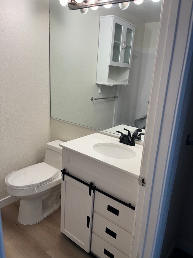 New toilet and vanity - 1001 La Terrace Cir