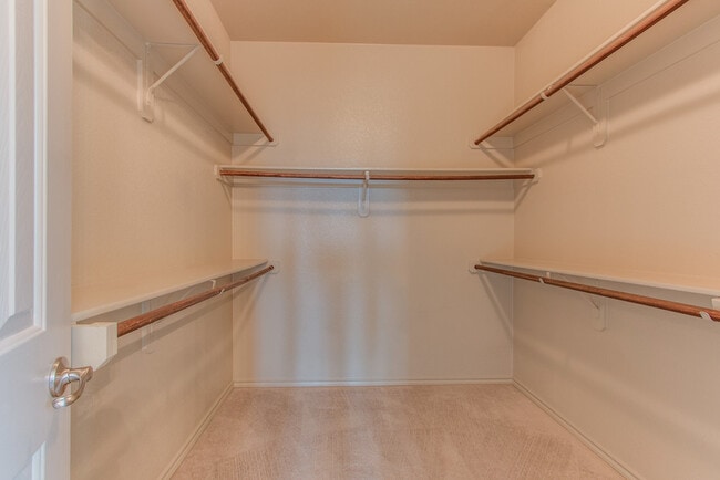 Building Photo - 3220 Hornbeam St