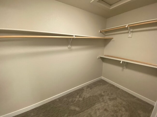 Building Photo - Beautiful BRAND NEW townhome in Chimney Park!
