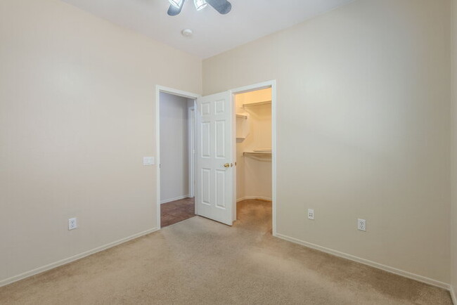 Building Photo - Great Rancho Sahuarita Home!!