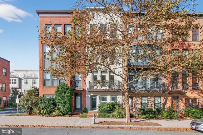 Building Photo - 1446 Piccard Dr