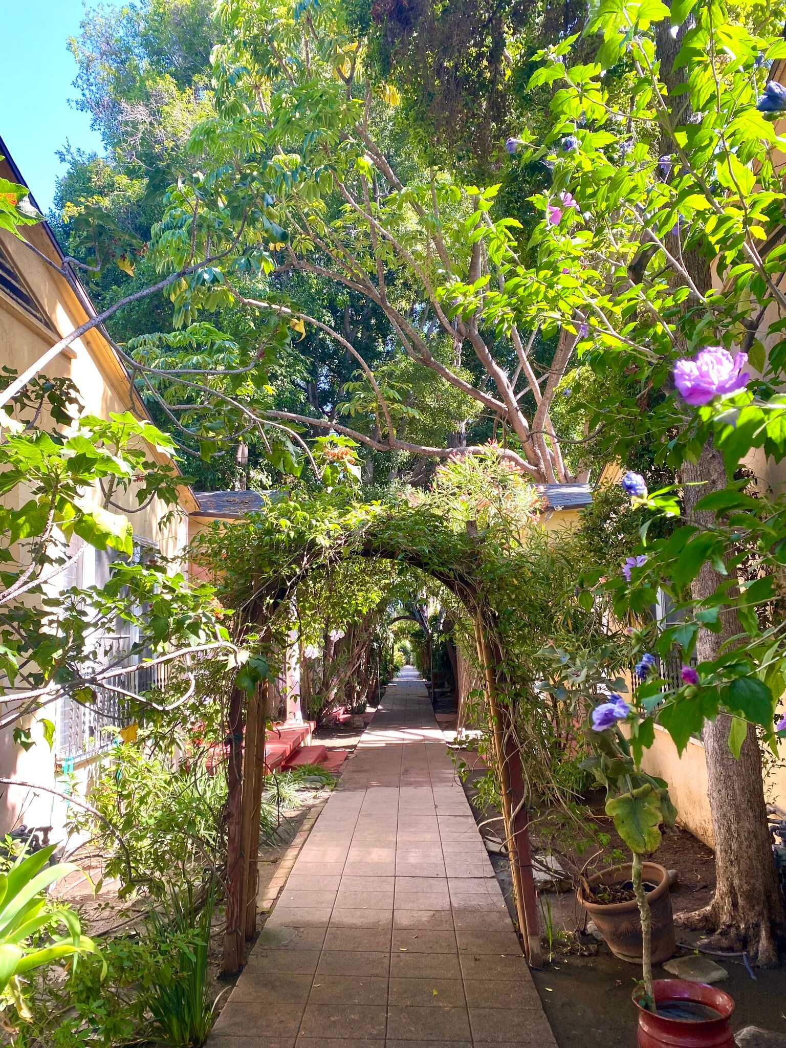 1 BDRM Cottage Courtyard - 7284 Fountain Ave