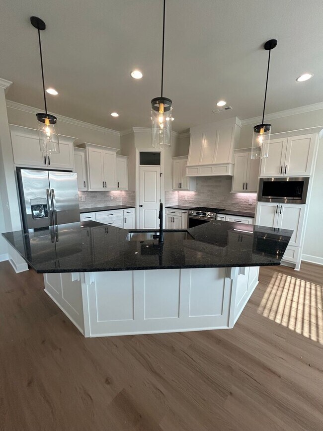 Building Photo - Beautiful Modern Home in Pea Ridge!