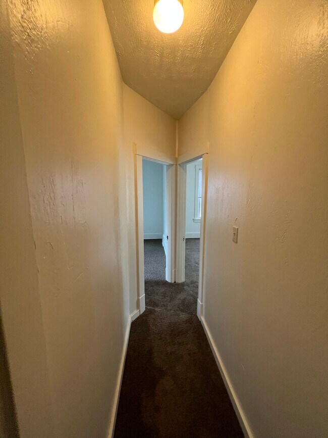 Building Photo - 904 Punta Gorda Ave