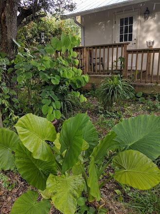 Building Photo - 2481 Golden Gate Blvd E