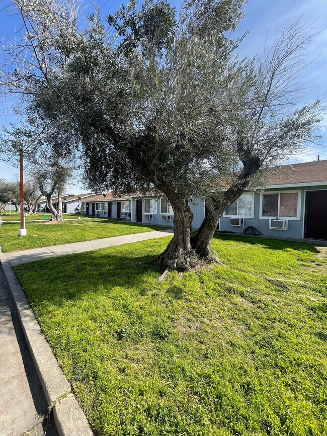 Building Photo - 6771 California St