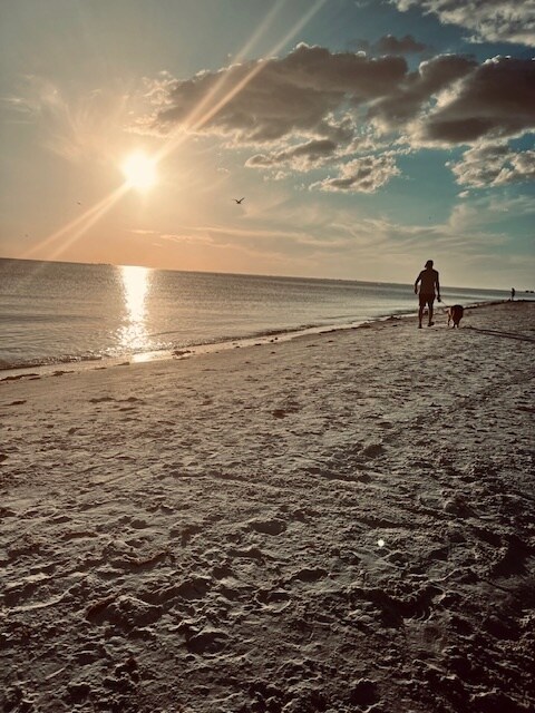 Building Photo - 20310 Estero Gardens Cir