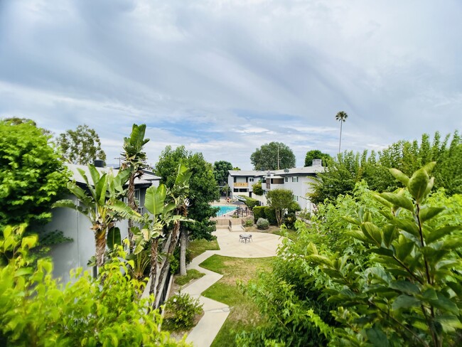 View from patio of courtyard and pool. - 6301 Coldwater Canyon Ave