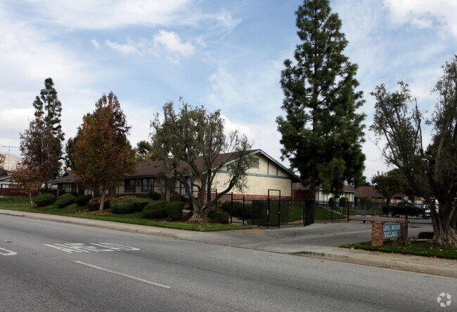 Primary Photo - Olive Wood Village Apartments