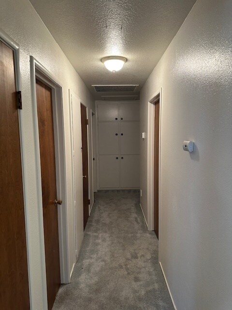 Building Photo - East Modesto Country Living, 3 Bedrooms 2 Bathrooms
